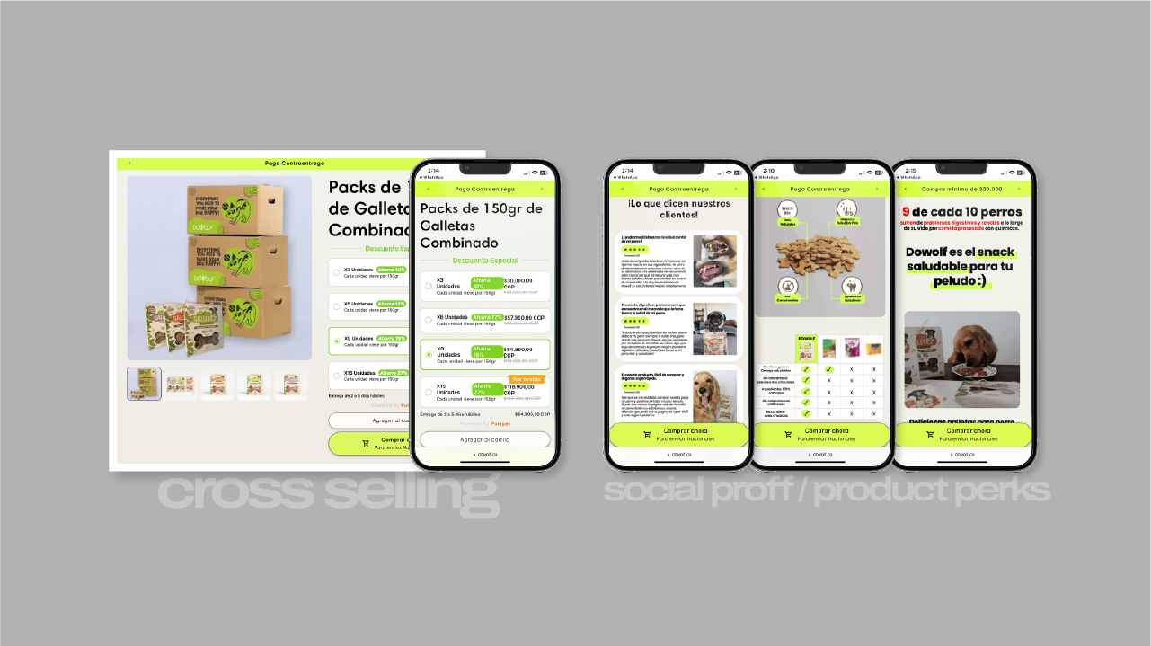 WAI PORTAFOLIO esditable-49