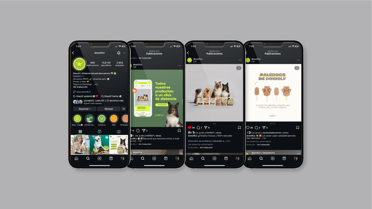 WAI PORTAFOLIO esditable-50