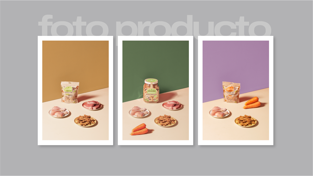 WAI PORTAFOLIO esditable-51